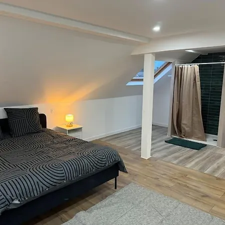 Maison Aux Portes De Strasbourg Moderne Et Confort * Schiltigheim