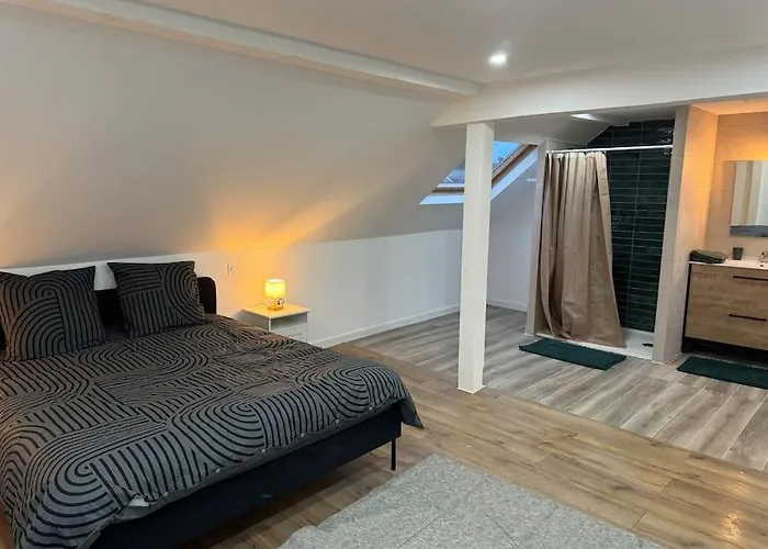 Maison Aux Portes De Strasbourg Moderne Et Confort * Schiltigheim